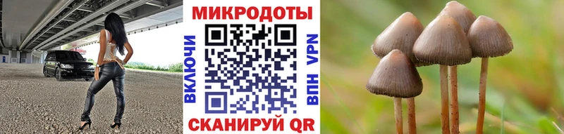 Галлюциногенные грибы ЛСД  Купить где  Нязепетровск 